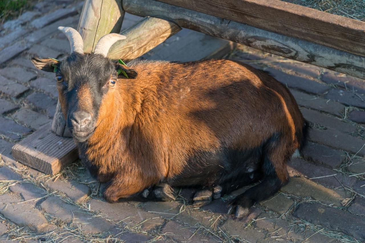 Bed En Breakfast Puur8A Duizel Dış mekan fotoğraf